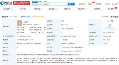 计算机系统服务 驱动现代企业高效运营的核心力量
